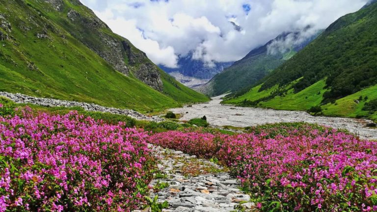 Valley of Flowers Trek Itinerary (Ex Haridwar)