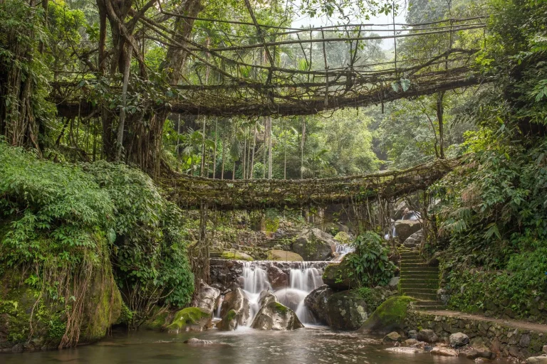 Mesmerising Meghalaya | Shillong, Cherrapunji & Dawki
